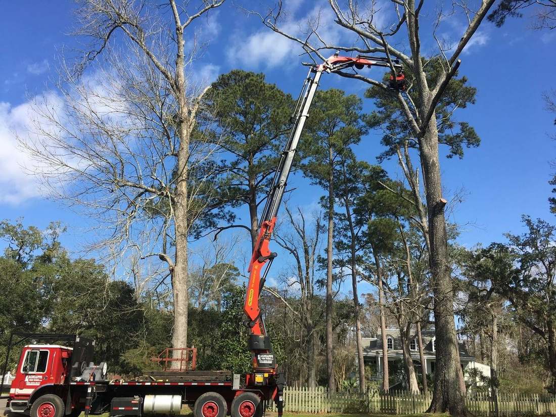 Knuckleboom crane lifting a cut limb clear of a fence line
