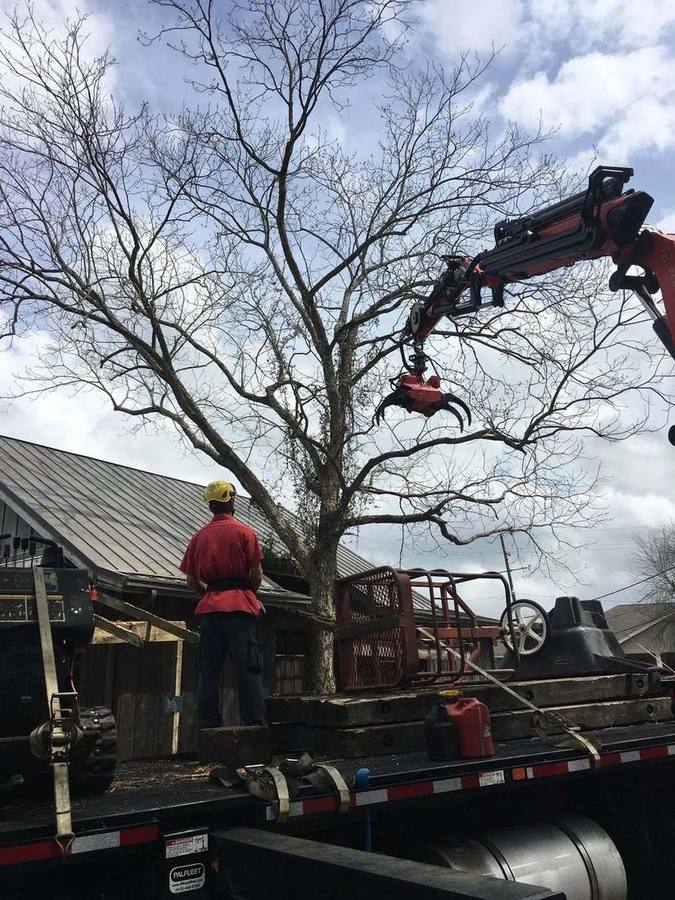 Grapple on the crane boom closing on a bare limb above a metal roof