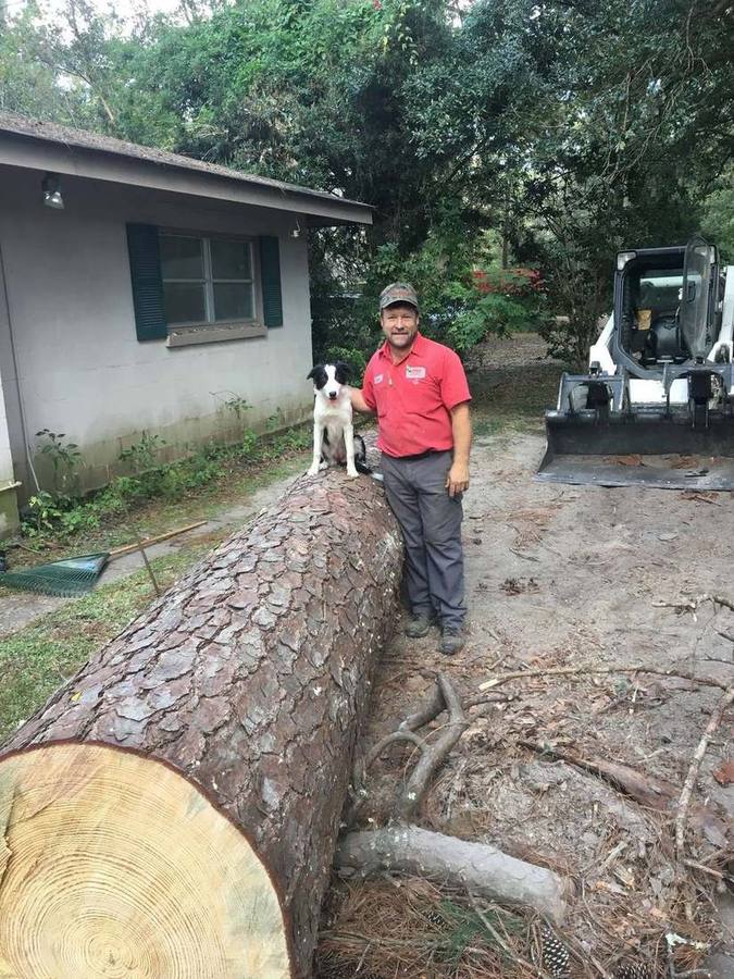 Lagniappe team member and a dog beside a felled pine trunk at a cleared job site
