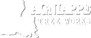 Lagniappe Tree Works