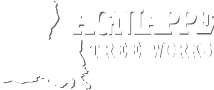 Lagniappe Tree Works
